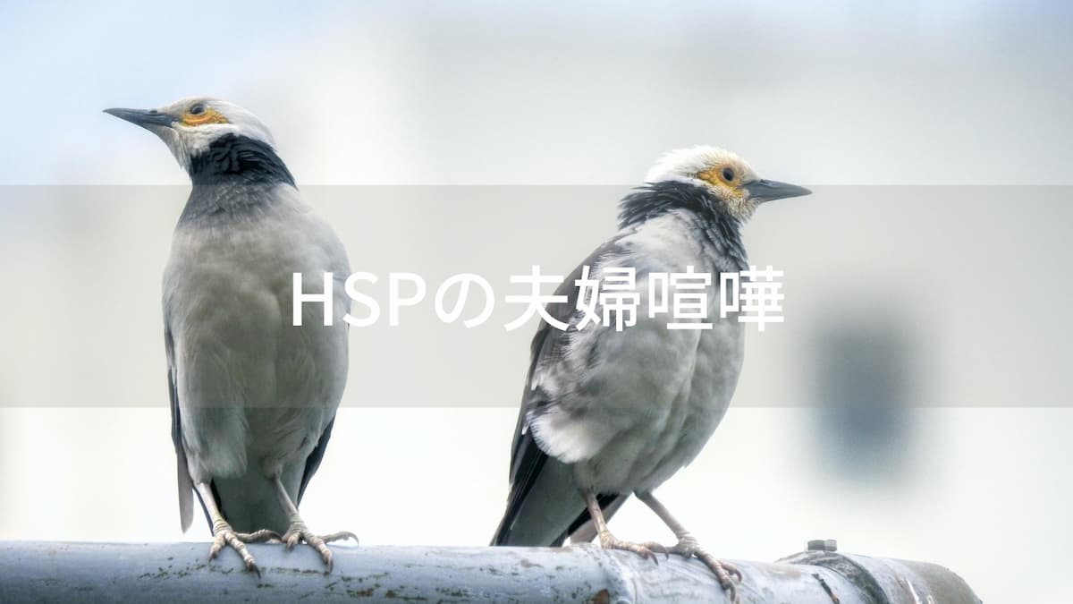 HSPの夫婦喧嘩事情｜心休まる円満な家庭を築くコツ【体験談】